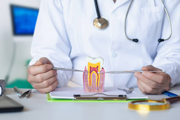 Best Emergency Treatment for Oral Infections in Pennington, NJ